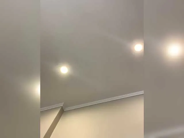 Bunnyforcesolo Image 15