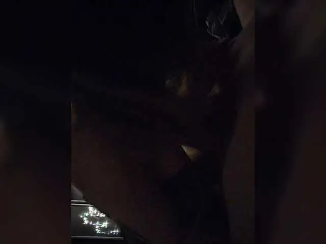 Suumcuique22aa Image 2