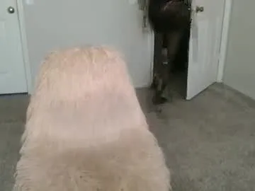 samanthaporsha Image 17