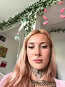 Stella-Kink Image 11